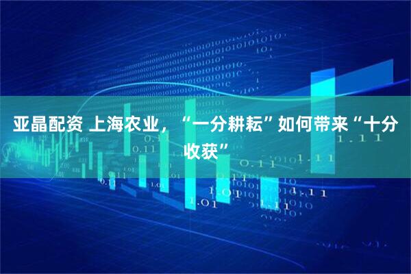 亚晶配资 上海农业，“一分耕耘”如何带来“十分收获”