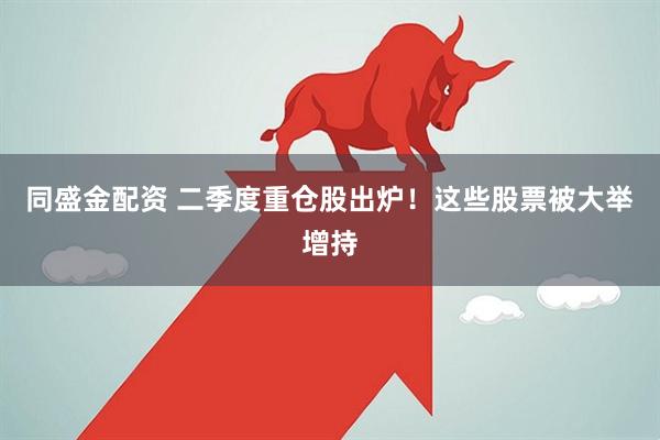 同盛金配资 二季度重仓股出炉！这些股票被大举增持
