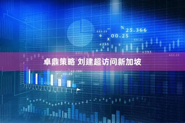卓鼎策略 刘建超访问新加坡