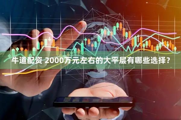 牛道配资 2000万元左右的大平层有哪些选择？