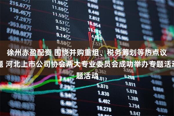 徐州赤盈配资 围绕并购重组、税务筹划等热点议题 河北上市公司协会两大专业委员会成功举办专题活动