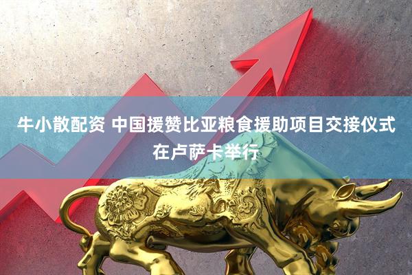 牛小散配资 中国援赞比亚粮食援助项目交接仪式在卢萨卡举行